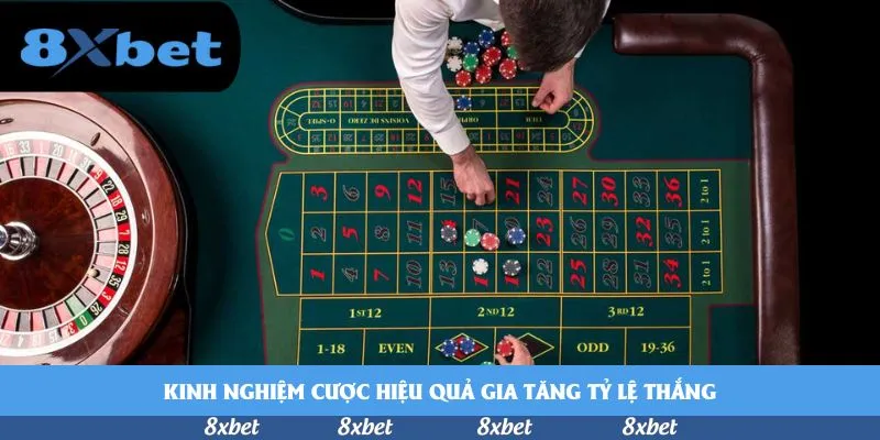Kinh nghiệm cược hiệu quả gia tăng tỷ lệ thắng